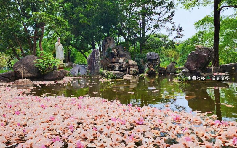 園區水景與池畔落花